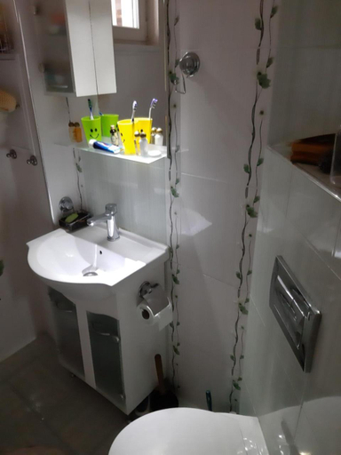 Bathroom, Малко oазисче, Stolichna