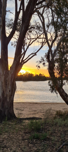 Exterior & Views 4, Riversands Rest Accommodation Paringa - Tea Tree Cottage, Renmark Paringa - Paringa