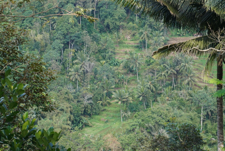 Scenery 20