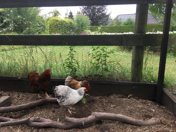 Others 4, Vakantiehuis In het Voorhuis, Bergeijk