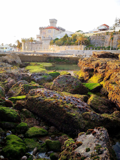 Exterior & Views 1, Pateo Estoril - Brand New Villa in Estoril, Cascais