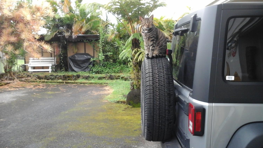 Shaka Shak Guest House, Hawaii
