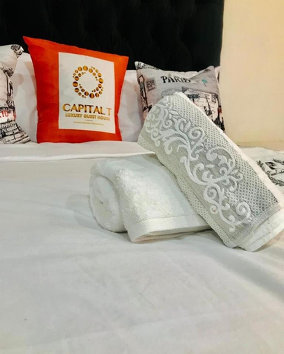 Others 4, CapitalT Luxury Guest House, Ekurhuleni