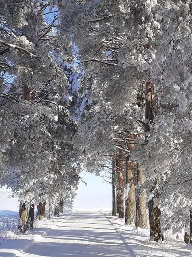 Others 4, Jokihovi, Northern Ostrobothnia