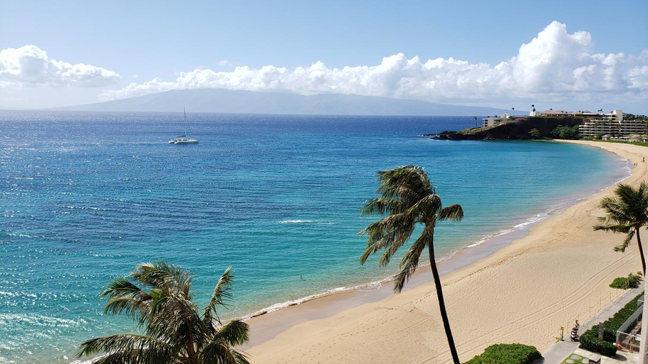 Others 3, Maui Westside Presents- The Whaler 319, Maui