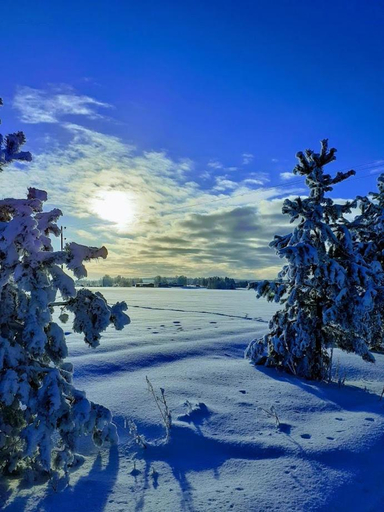 Others 5, Jokihovi, Northern Ostrobothnia