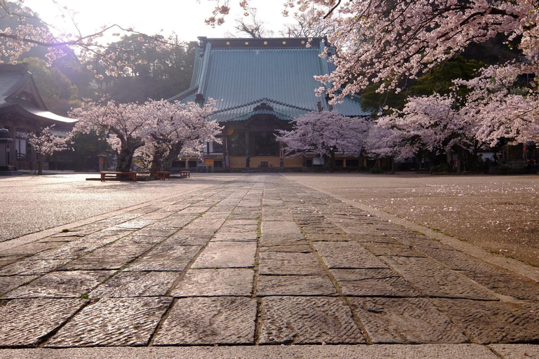 Kamakura Park Hotel, Kamakura