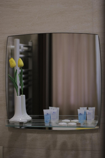 Bathroom 3, Oxygen Hotel, Ozurgeti