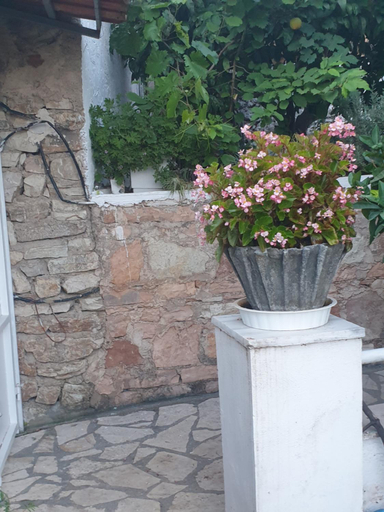Others 5, Rosemary House, Sarandës