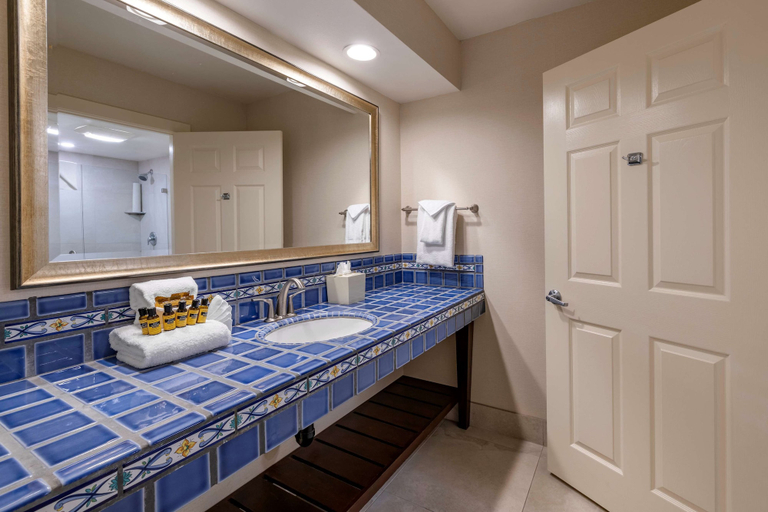 Bathroom 4, Best Western Plus Island Palms Hotel & Marina, San Diego
