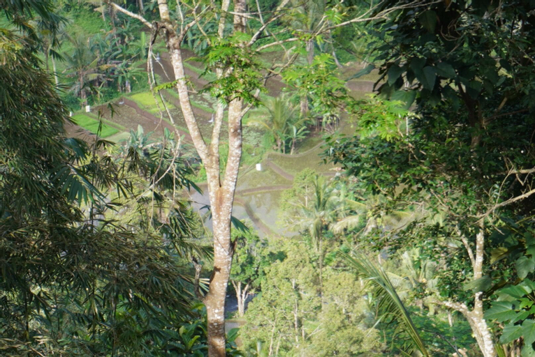 Scenery 19