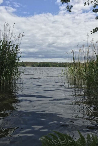 Miscellaneous 5, Finnhutte Seeblick Comfortable Holiday Residence, Prignitz