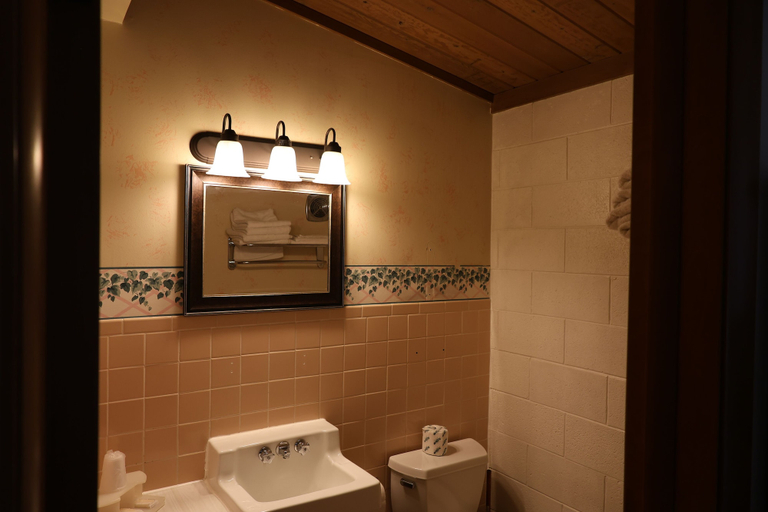 Bathroom 5, Bonne Belle Motel, Washington