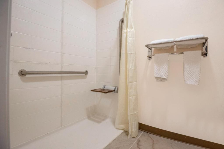 Bathroom 3, Red Lion Inn & Suites Adairsville, Bartow