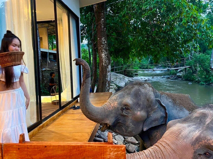 Others 5, 3Pok Resort Chiang Mai, Mae Wang
