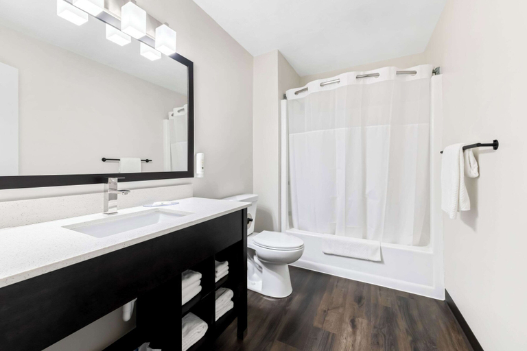 Bathroom 4, Quality Inn & Suites Munising, Alger