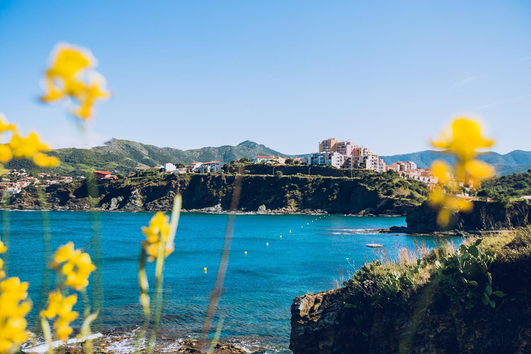 2, Regina's Banyuls - Les Hibiscus, Pyrénées-Orientales