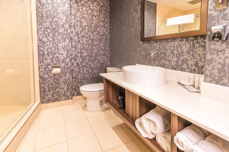 Bathroom 4, Jag Boutique Hotel, Division No. 1