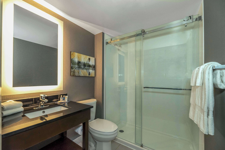 Bathroom 4, Comfort Inn Charlottetown, Queens