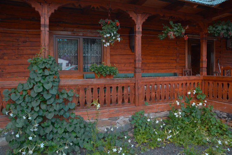 Others 4, Casa cu traditie, Budesti
