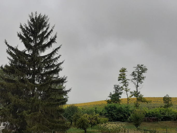 Surrounding environment