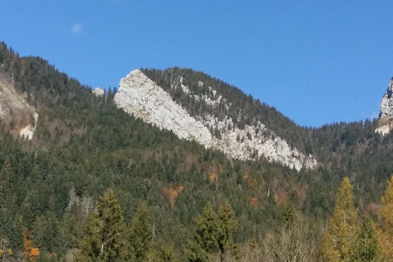 Others 5, Le Chartreux de Saint Pierre de Chartreuse, Isère