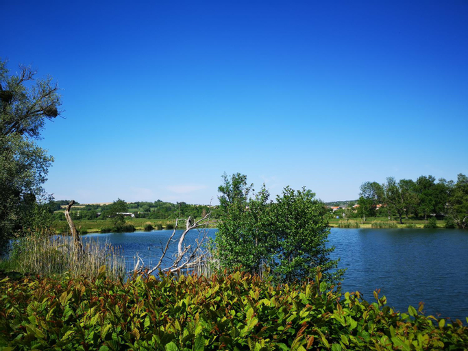 Gite a la campagne - Etat Nature, Meurthe-et-Moselle