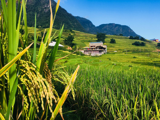 Others 5, Hoa's homestay Sapa, Sa Pa