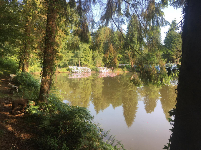 Exterior & Views 4, Inviting 2-Bed Cabin in Domfront En Poiraie, Orne