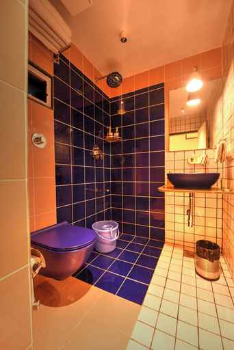 Bathroom 4, House of BB, Sirohi