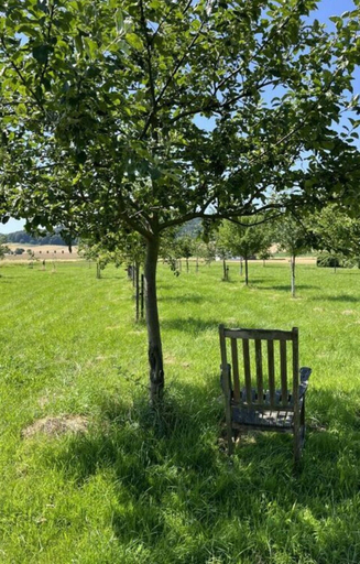 Property grounds 3, Time out in the Wiehengebirge, Osnabrück