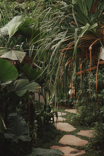 Scenery