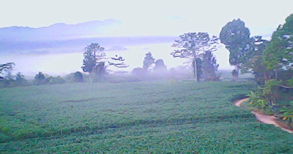 Surrounding environment 3, อุสาวิวรีสอร์ท, Tha Wang Pha