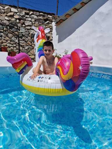 Others 4, Casa Adelin, Eselnita