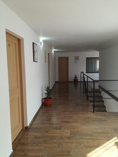 Others 3, Casa Adelin, Eselnita