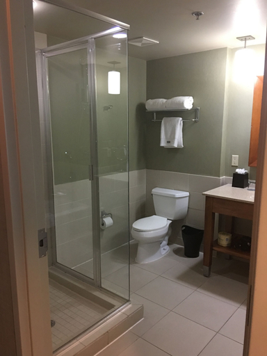 Bathroom 5, The Westin Memphis Beale Street, Shelby
