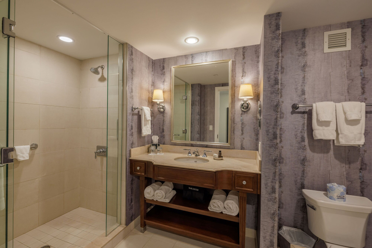 Bathroom 4, Morris Inn, Saint Joseph