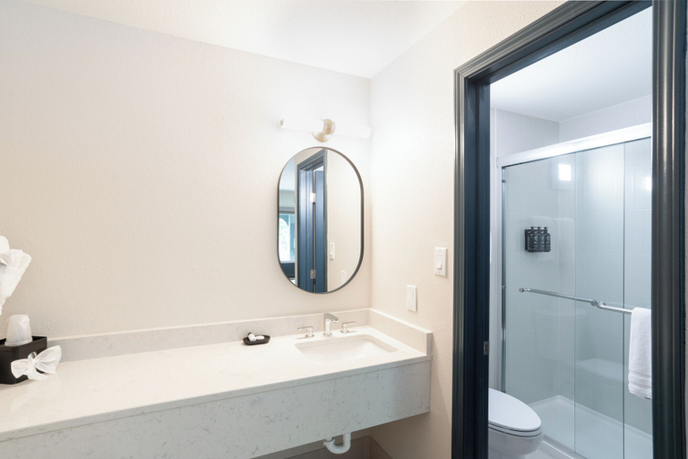 Bathroom 4, Hotel Sylva, Jackson