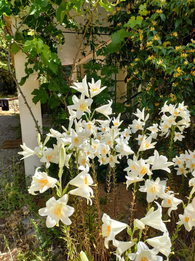 Others 5, O'fildl'eau gite, Var