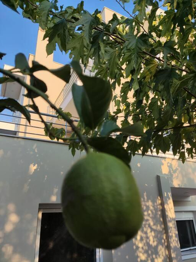 4, The Bright House a two-storey maisonette in Loutraki, Peloponnese
