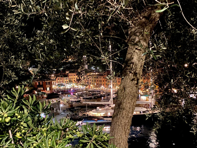 A dream in Portofino Piazzetta, Genova