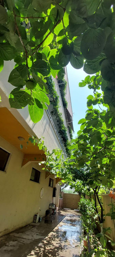 Others 2, Villa Madani, Durrësit