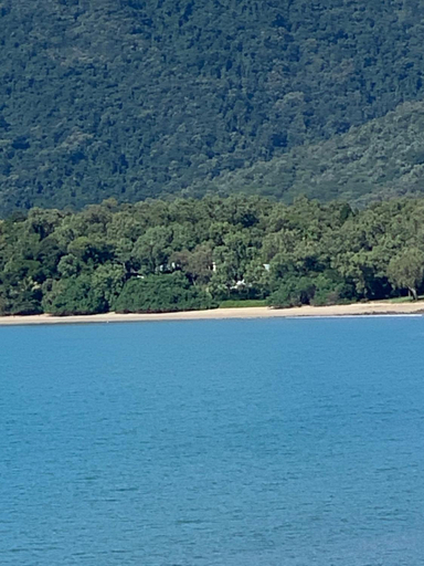 1, Beachfront Dolphin Cabin, Douglas