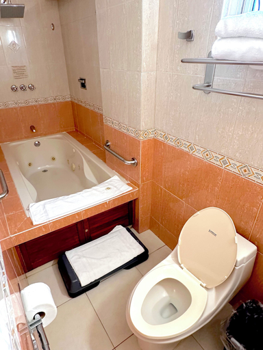 Bathroom 4, Hotel Andros, Colón
