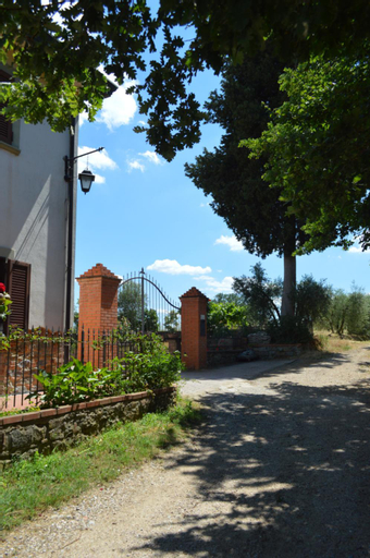 Magnolie, Arezzo
