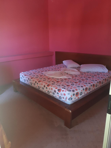 4, Hotel Meteor, Shkodrës