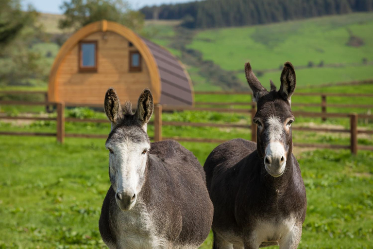 Others 2, Kilbane Glamping