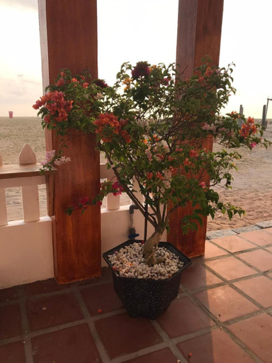 Others 2, Blue Sea Homestay 2, Đông Hòa