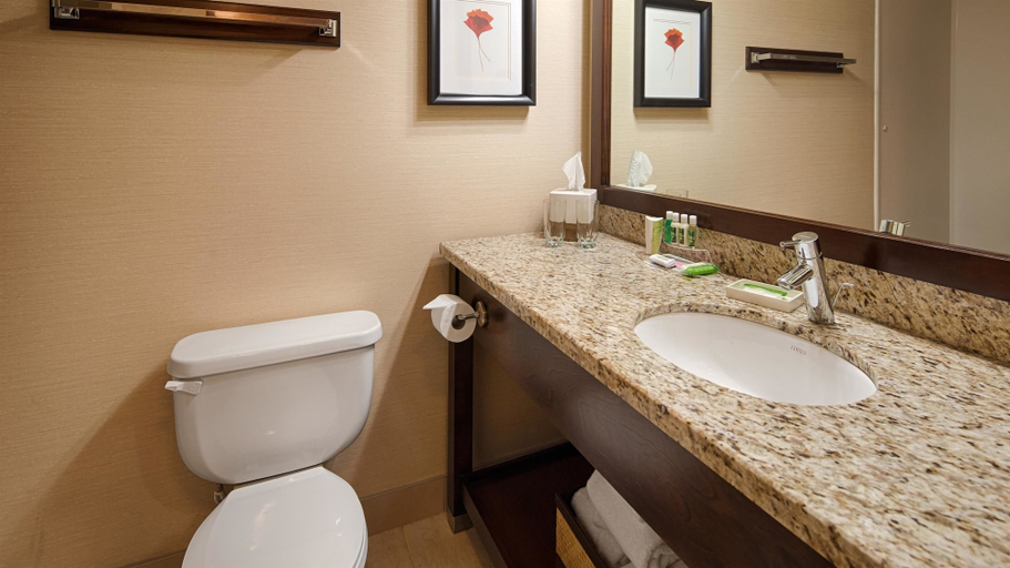 Bathroom 4, Best Western Premier Denham Inn & Suites, Division No. 11
