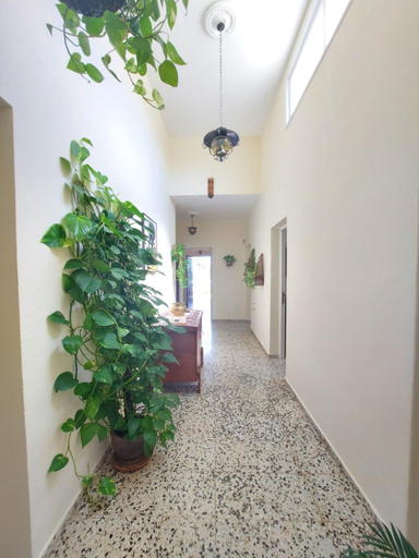 Exterior view 2, VILLA UDILLA, Santa Cruz de Tenerife